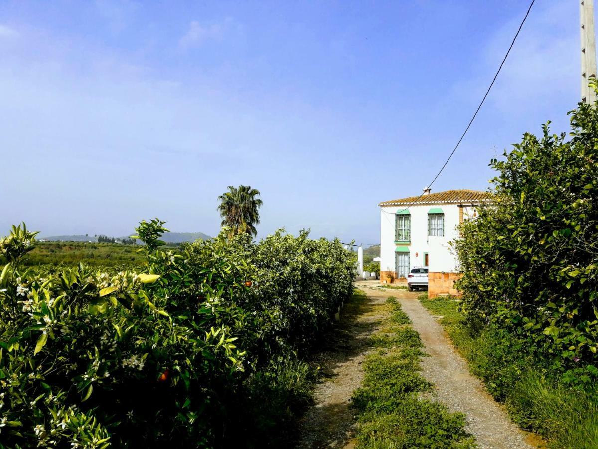 Casa Rural La Estrella Pizarra Bagian luar foto